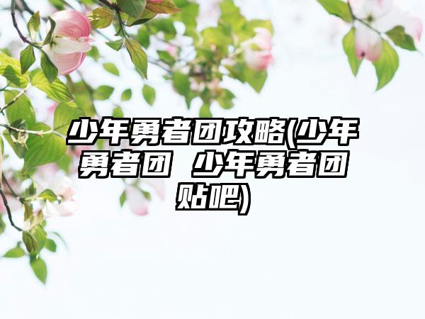 少年勇者团攻略(少年勇者团 少年勇者团贴吧)