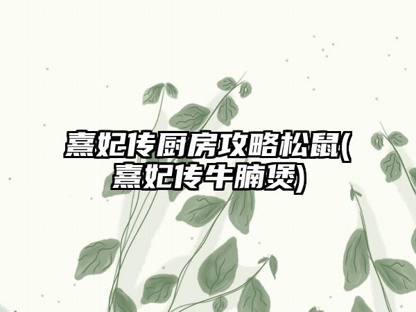 熹妃传厨房攻略松鼠(熹妃传牛腩煲)