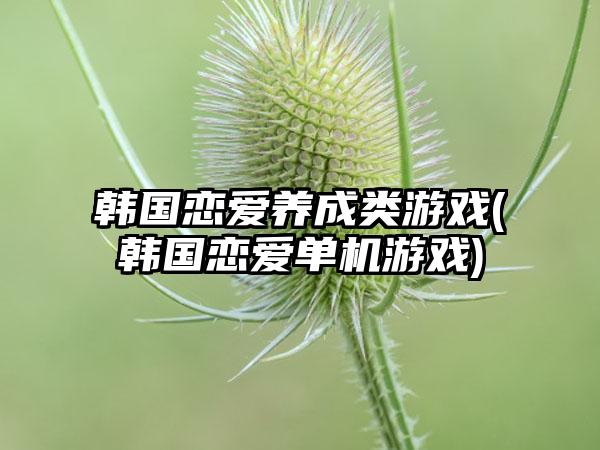 韩国恋爱养成类游戏(韩国恋爱单机游戏)
