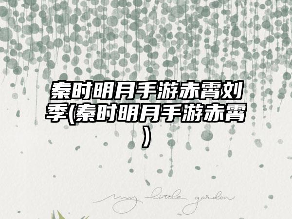 秦时明月手游赤霄刘季(秦时明月手游赤霄)