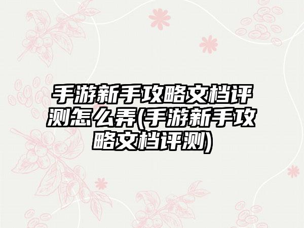 手游新手攻略文档评测怎么弄(手游新手攻略文档评测)