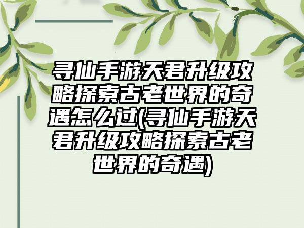 寻仙手游天君升级攻略探索古老世界的奇遇怎么过(寻仙手游天君升级攻略探索古老世界的奇遇)