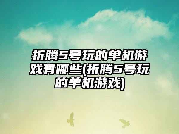 折腾5号玩的单机游戏有哪些(折腾5号玩的单机游戏)