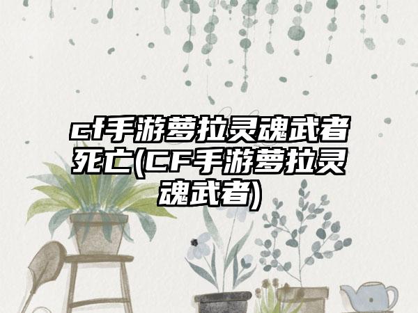 cf手游萝拉灵魂武者死亡(CF手游萝拉灵魂武者)