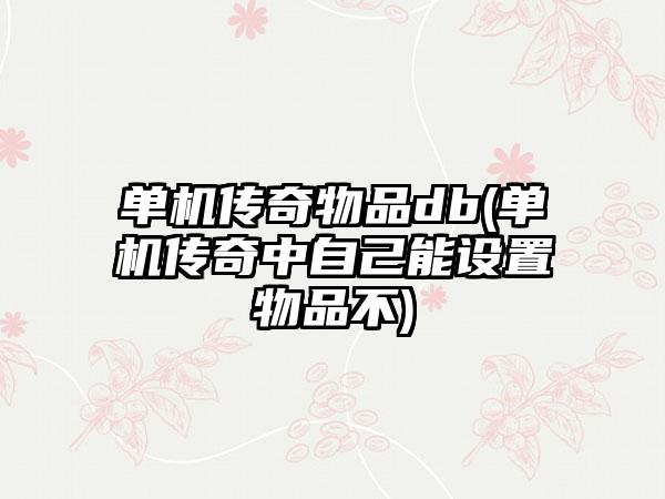 单机传奇物品db(单机传奇中自己能设置物品不)