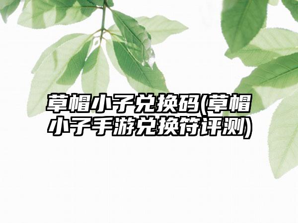 草帽小子兑换码(草帽小子手游兑换符评测)