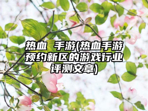 热血 手游(热血手游预约新区的游戏行业评测文章)