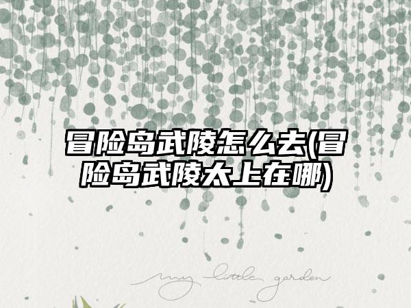 冒险岛武陵怎么去(冒险岛武陵太上在哪)