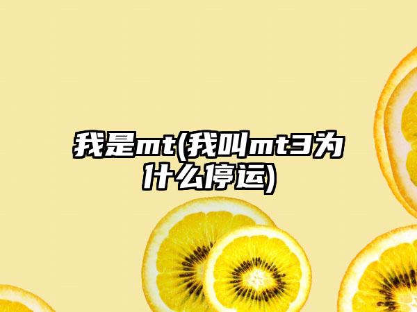 我是mt(我叫mt3为什么停运)