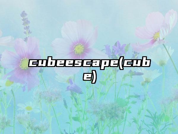 cubeescape(cube)