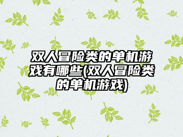 双人冒险类的单机游戏有哪些(双人冒险类的单机游戏)
