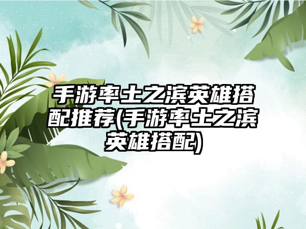 手游率土之滨英雄搭配推荐(手游率土之滨英雄搭配)