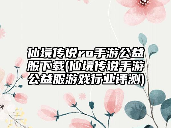仙境传说ro手游公益服下载(仙境传说手游公益服游戏行业评测)