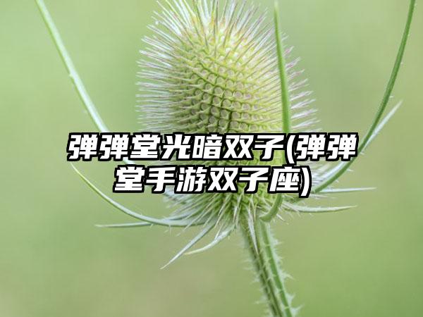 弹弹堂光暗双子(弹弹堂手游双子座)