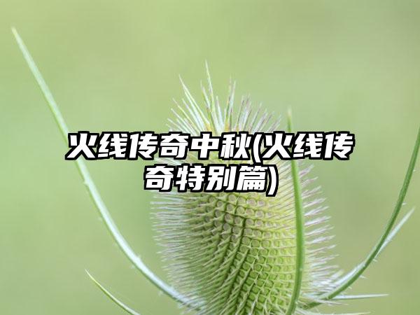 火线传奇中秋(火线传奇特别篇)