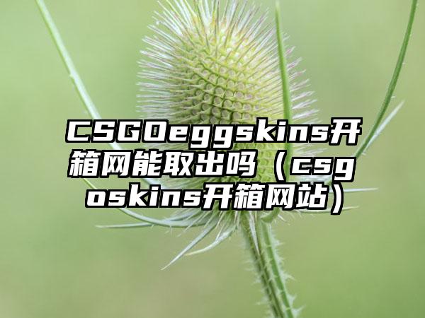 CSGOeggskins开箱网能取出吗（csgoskins开箱网站）