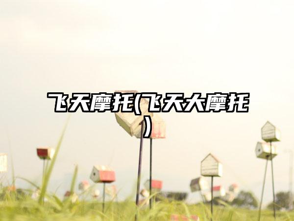 飞天摩托(飞天大摩托)