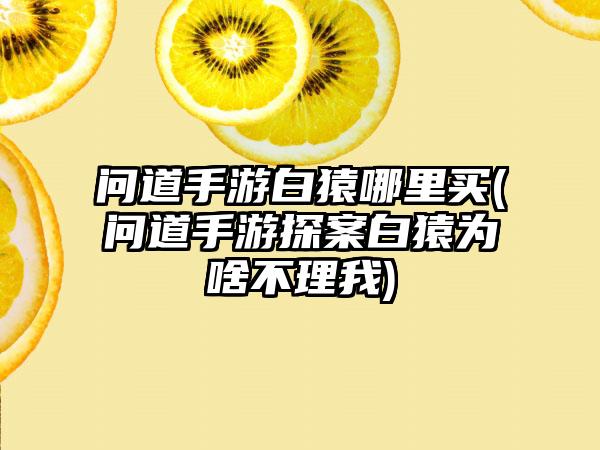 问道手游白猿哪里买(问道手游探案白猿为啥不理我)