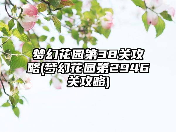 梦幻花园第38关攻略(梦幻花园第2946关攻略)