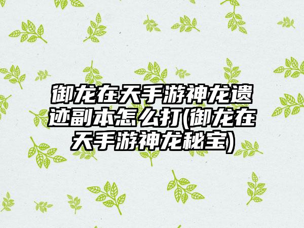 御龙在天手游神龙遗迹副本怎么打(御龙在天手游神龙秘宝)