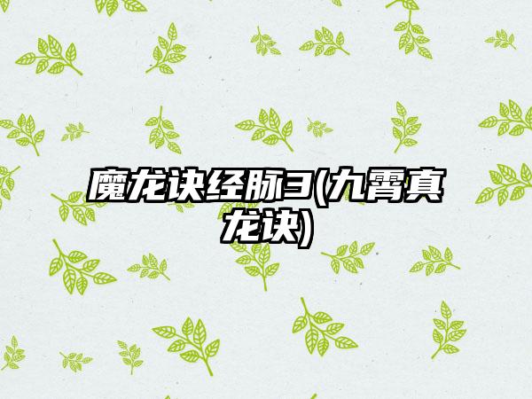 魔龙诀经脉3(九霄真龙诀)