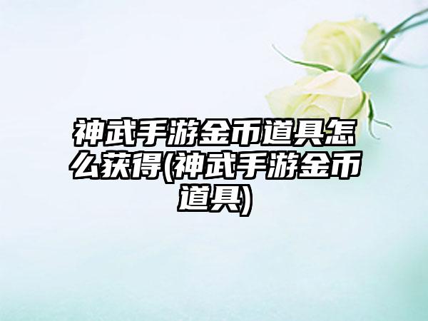 神武手游金币道具怎么获得(神武手游金币道具)