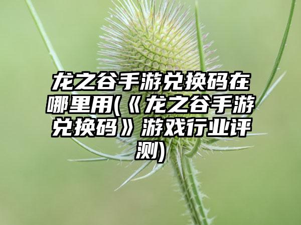 龙之谷手游兑换码在哪里用(《龙之谷手游兑换码》游戏行业评测)
