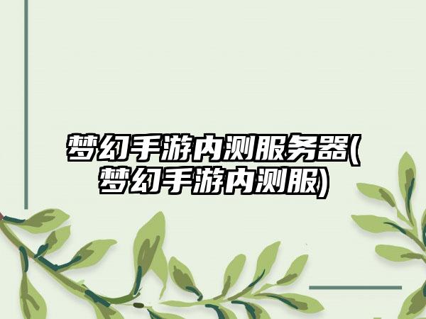 梦幻手游内测服务器(梦幻手游内测服)