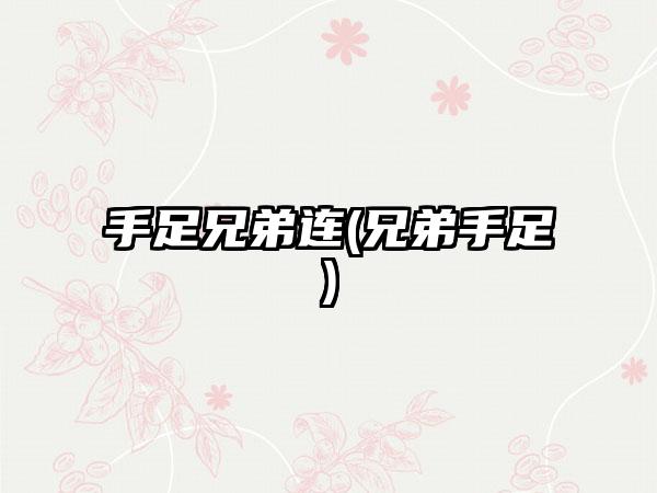 手足兄弟连(兄弟手足)