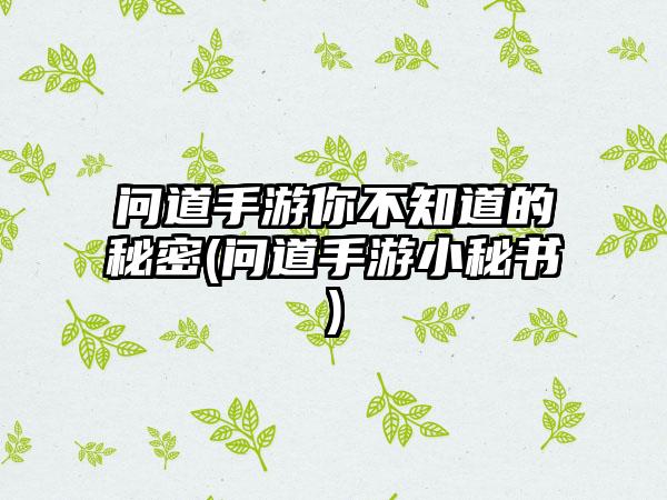 问道手游你不知道的秘密(问道手游小秘书)