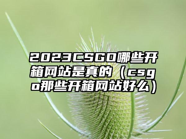 2023CSGO哪些开箱网站是真的（csgo那些开箱网站好么）