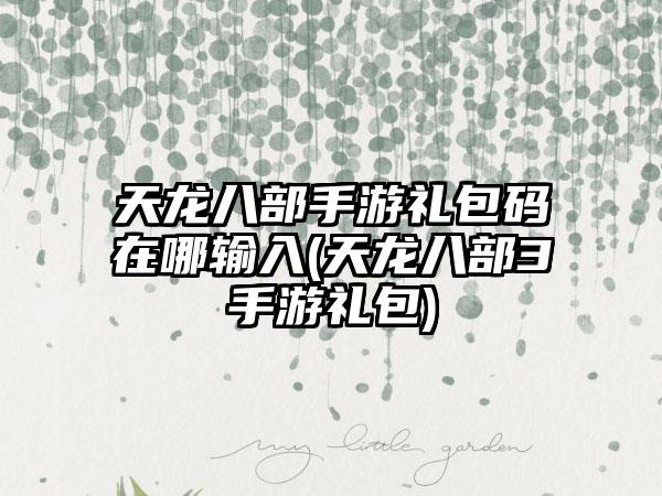 天龙八部手游礼包码在哪输入(天龙八部3手游礼包)