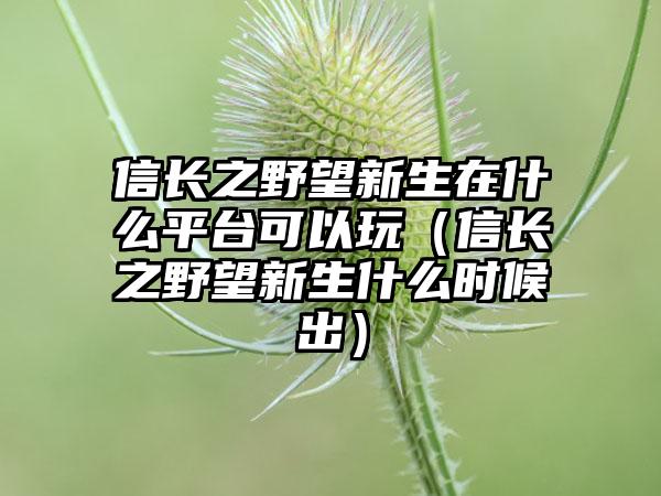 信长之野望新生在什么平台可以玩（信长之野望新生什么时候出）