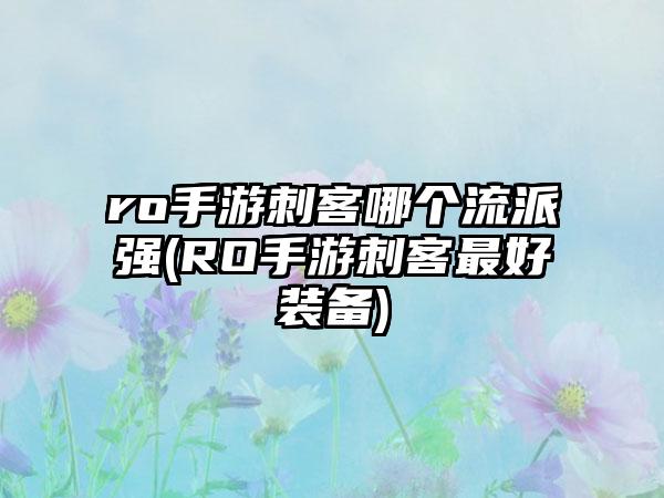 ro手游刺客哪个流派强(RO手游刺客最好装备)