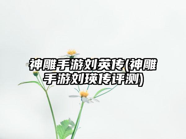 神雕手游刘英传(神雕手游刘瑛传评测)