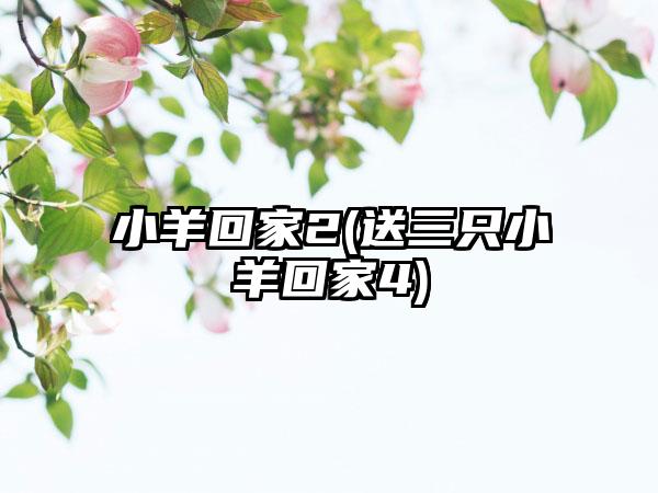 小羊回家2(送三只小羊回家4)