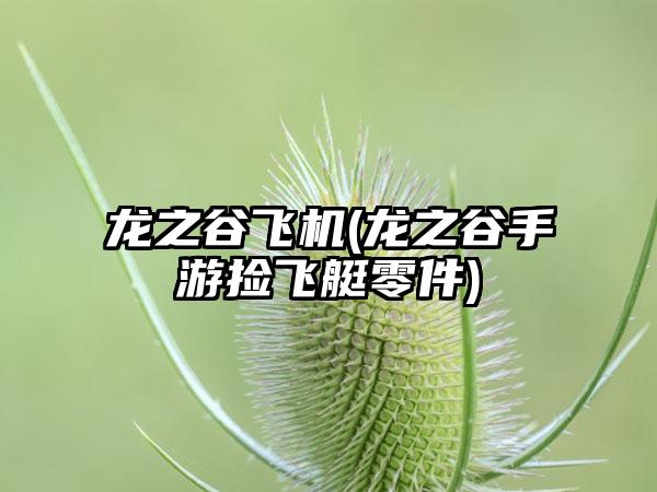 龙之谷飞机(龙之谷手游捡飞艇零件)