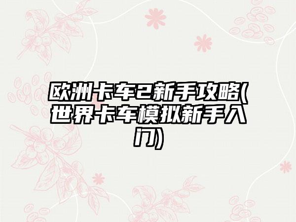 欧洲卡车2新手攻略(世界卡车模拟新手入门)