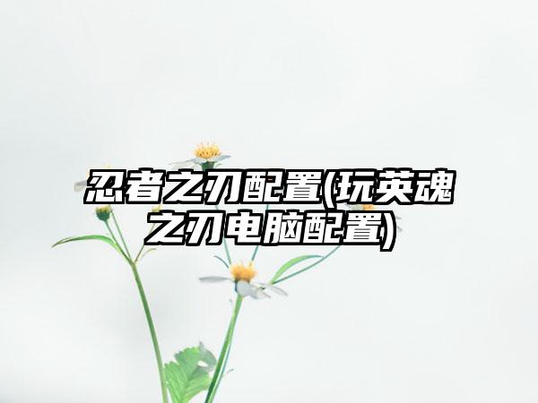 忍者之刃配置(玩英魂之刃电脑配置)