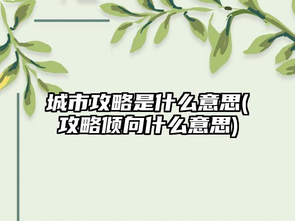 城市攻略是什么意思(攻略倾向什么意思)