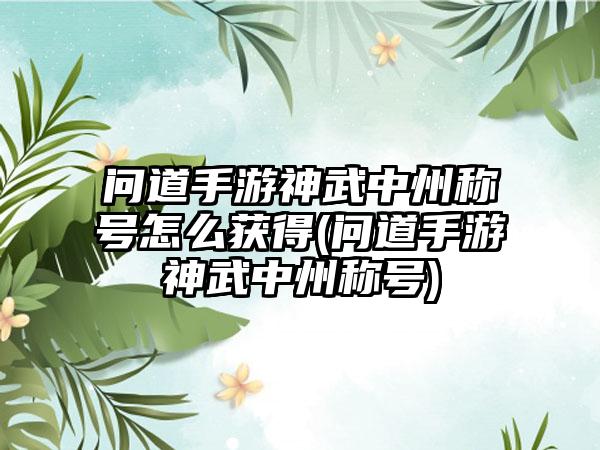 问道手游神武中州称号怎么获得(问道手游神武中州称号)