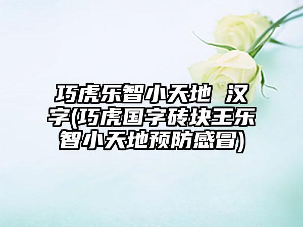 巧虎乐智小天地 汉字(巧虎国字砖块王乐智小天地预防感冒)