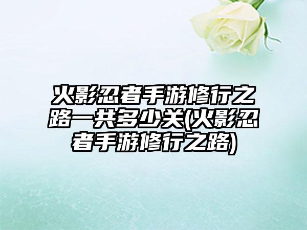 火影忍者手游修行之路一共多少关(火影忍者手游修行之路)