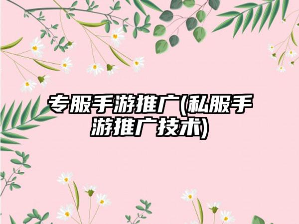 专服手游推广(私服手游推广技术)