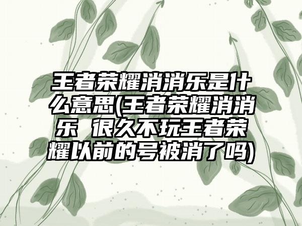 王者荣耀消消乐是什么意思(王者荣耀消消乐 很久不玩王者荣耀以前的号被消了吗)