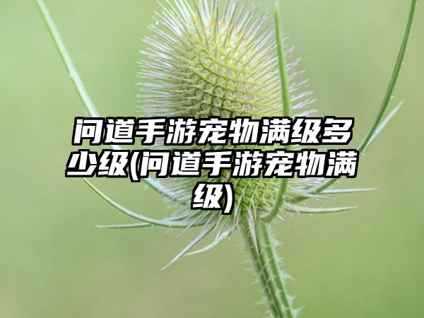 问道手游宠物满级多少级(问道手游宠物满级)