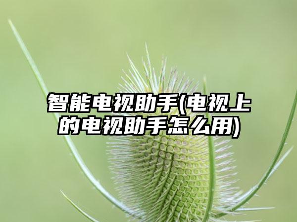 智能电视助手(电视上的电视助手怎么用)