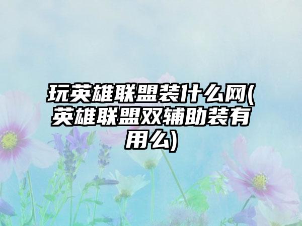 玩英雄联盟装什么网(英雄联盟双辅助装有用么)