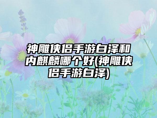 神雕侠侣手游白泽和内麒麟哪个好(神雕侠侣手游白泽)