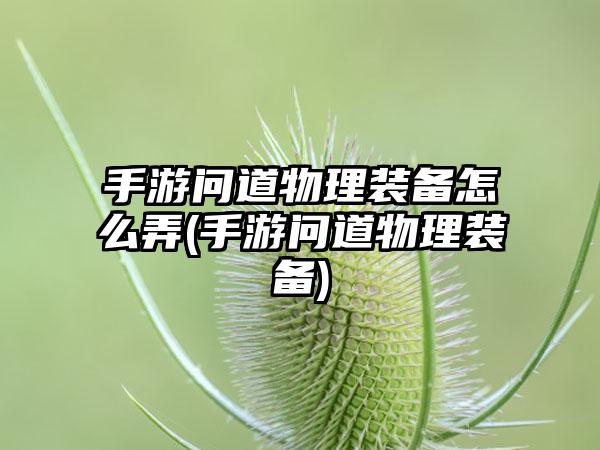 手游问道物理装备怎么弄(手游问道物理装备)